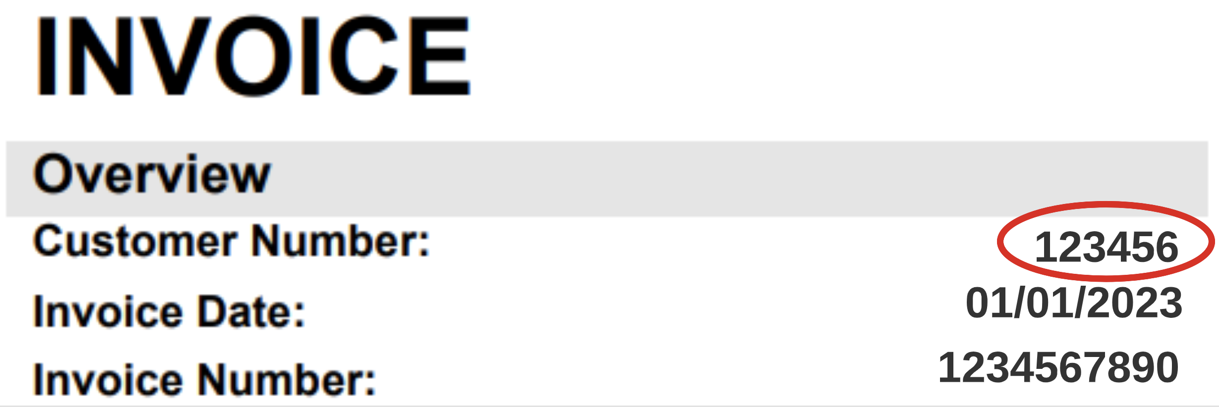 CSG Billing Form